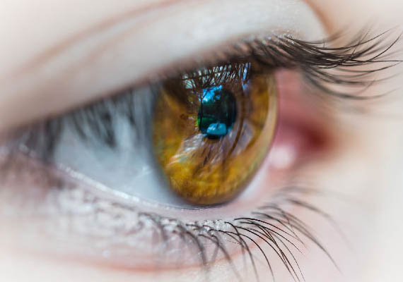 Prof. Dr. Fehmi Cem Küçükerdönmez, Retina Hastalıkları ve Retina Cerrahisi - İzmir Göz Doktoru
