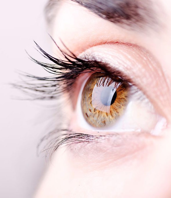 Prof. Dr. Fehmi Cem Küçükerdönmez, Retina Hastalıkları ve Retina Cerrahisi - İzmir Göz Doktoru